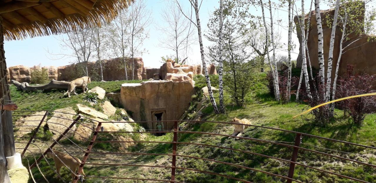Les Hirondelles Bed & Breakfast Онзан Екстериор снимка
